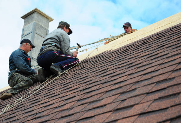 Best Storm Damage Roof Repair  in Pleasant Run, OH